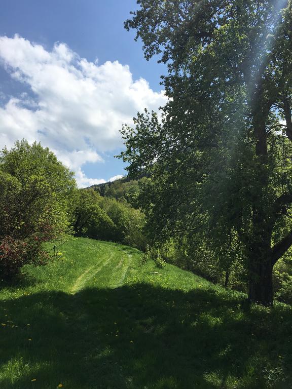 Ferienhaus Hochbrand Rabenstein Εξωτερικό φωτογραφία